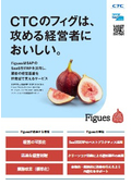 Introduction to Figues
