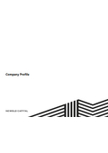 NEWOLD CAPITAL 会社案内