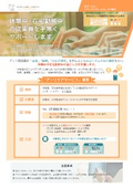 Henri Care Service Brochure