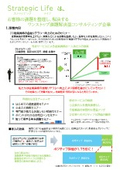 株式会社Strategic Life　事業内容