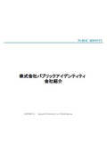 Public Identity Inc. Company Profile