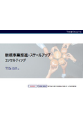 【サービス案内】新規事業推進・スケールアップコンサルティング