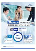 Strategic Implementation Type DX Solution