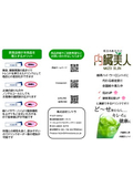 内臓美人 リーフレット