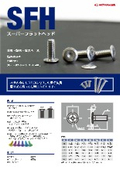 ボルト『スーパーフラットヘッド』