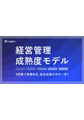 【資料】経営管理成熟度モデル