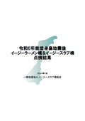 令和6年能登半島地震後イージーラーメン橋＆イージースラブ橋点検結果