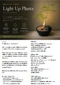 Overview of Light-Up Plants (Ipros) _ Interior