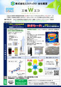 Estec 21 Inc. Company Overview
