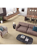 Natural Stone Look Tile Hybrid (for Indoor/Outdoor Floors and Indoor/Outdoor Walls)