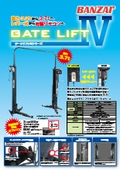 Gate Lift IV Series - Two-Post Lift
