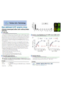 Tohoku Univ. Technology : Epo-deficient GFP anemic mice : T10-050