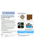 Tohoku Univ. Technology : Pt Silicide Nanoparticles : T17-068