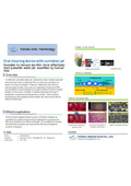 Tohoku University Technology:Oral cleaning device with cavitation jet: T10-105