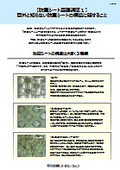 防草シートの基礎講座１「構造について」