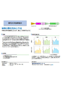 東北大学技術：植物の糖化性向上方法：T24-049