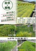 維持管理軽減植生シート イジゲンシート