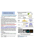 Hokkaido Univ. Technology：Transition Metal Dichalcogenide Nanotubes：HK26-001