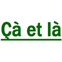 サエラlogo