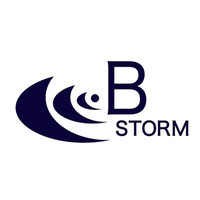 株式会社B-STORMロゴ