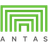 株式会社アンタス