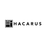 ＨＡＣＡＲＵＳ