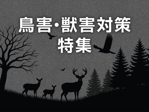 鳥害・獣害対策特集