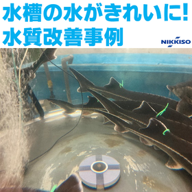 水槽の水がきれいに‼水質改善事例あり