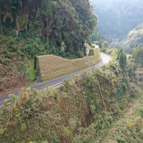 ジオロックウォール