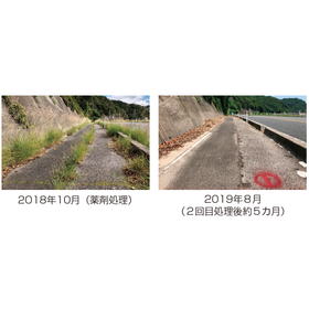 お客様インタビュー! 年2回の草刈り予算を「除草管理」へシフト。