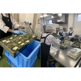 Screenshot 2026-04-10 153836.png