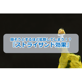 11_隠そうとするほど拡散してしまう！？『ストライサンド効果』