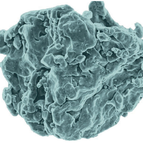 『Somaloy(R)』：イメージ写真（拡大）