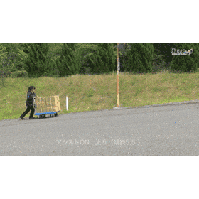 アシスト機能　あり〇