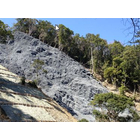 生態系の早期回復と自然環境保護に役立ちます