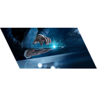 人事に関わるデータの解析を通して、人材活躍に向けた仕組みの最適化し、ともに未来を目指せる人材の育成を図ります。