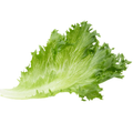 計画栽培「GREENS