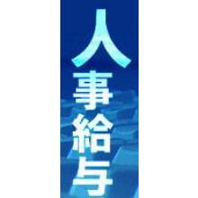 山口システム開発　 人事給与