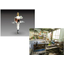 Silver Corporation Business Features