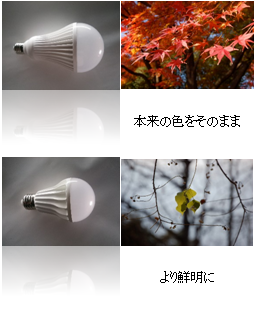 視力を保護する自然色照明「Zero+視LED電球型」