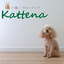Pet-friendly scratch-resistant flooring "KATTENA"