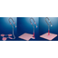 Self-supporting standing and transfer aid "La Clip"