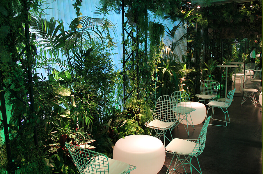 観葉植物レンタルサービス（グリーンレンタル）