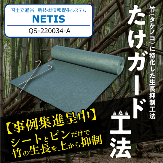 竹害対策に『防竹工法 たけガード工法』NETIS登録