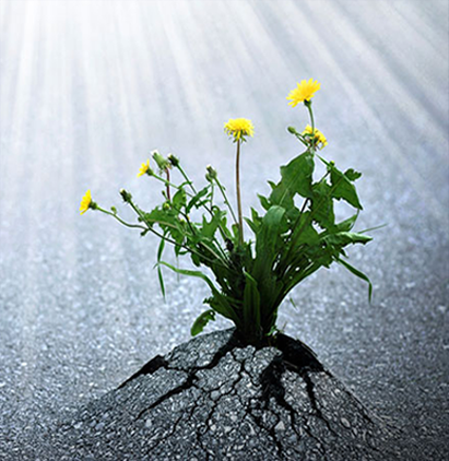 セルフマネジメントを高める「レジリエンス研修」