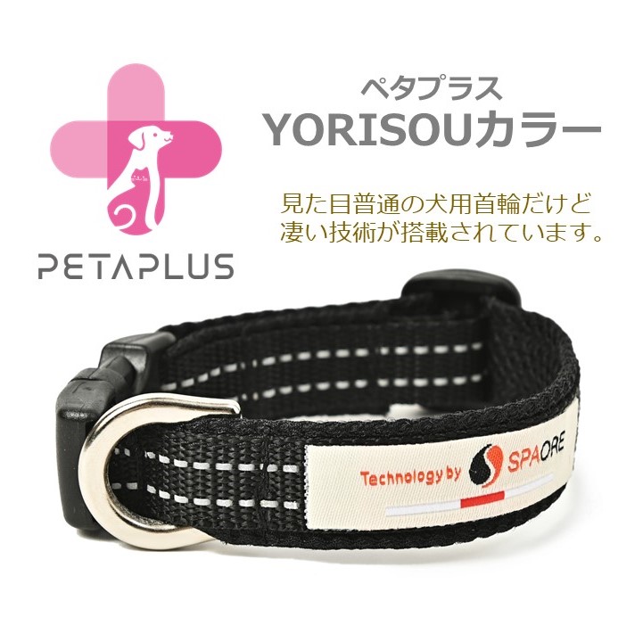ペットの健康をしっかりサポート『ペタプラスYORISOUカラー』