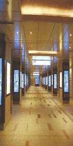 反射防止フィルム-S