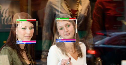 顧客顔面属性測定ツール『CrowdSight SDK』