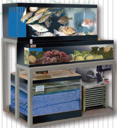 活魚水槽『潮シリーズ』