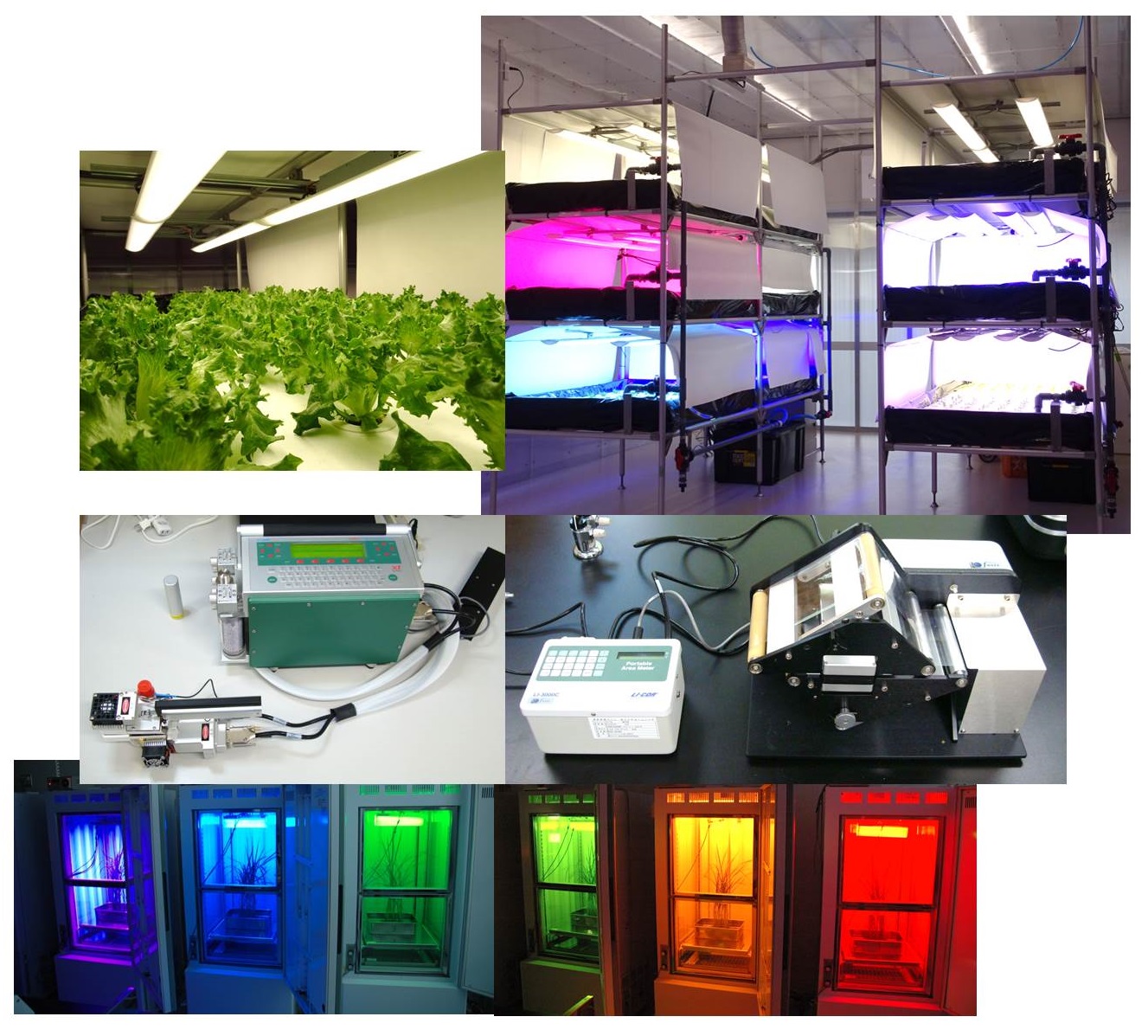 【事業内容】栽培・分析受託